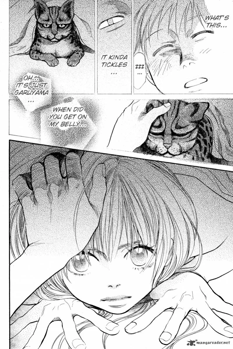 337 Byooshi Chapter 78 page 5