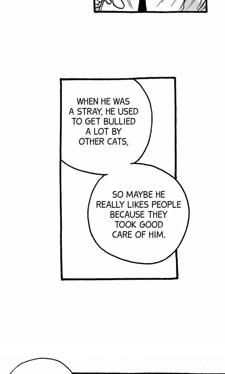 A Guilty Victim-Player's Hustle Play Chapter 3.1 page 47
