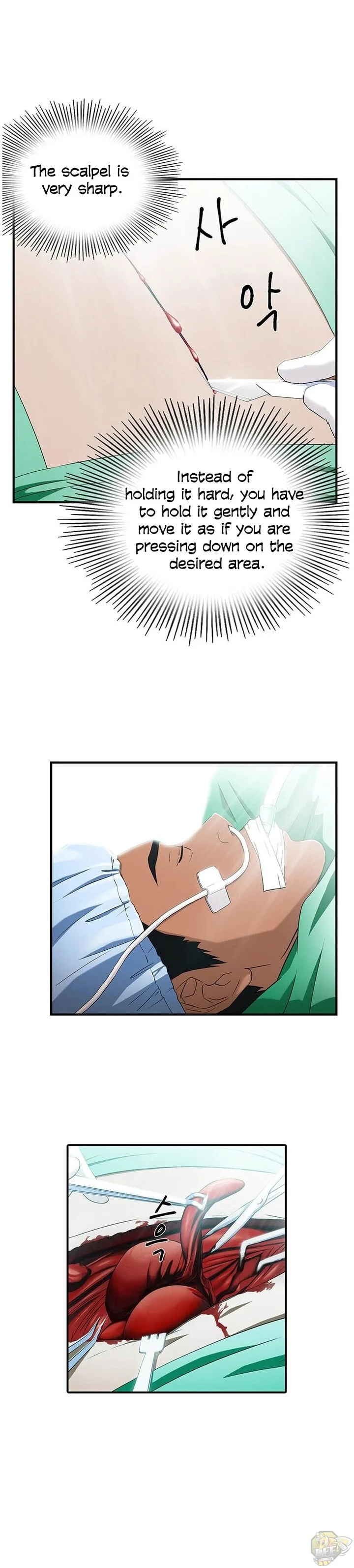 A True Doctor Chapter 31 page 16