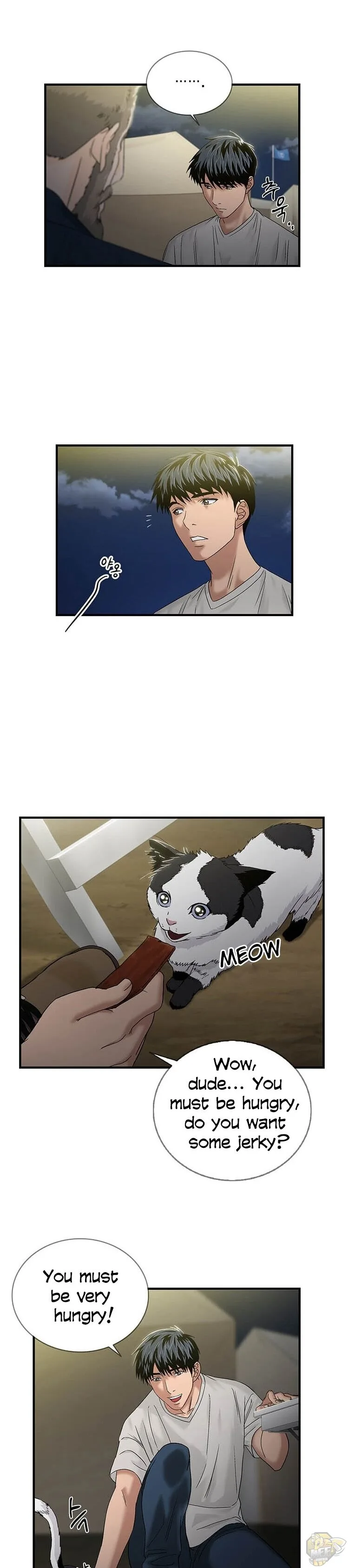 A True Doctor Chapter 49 page 13