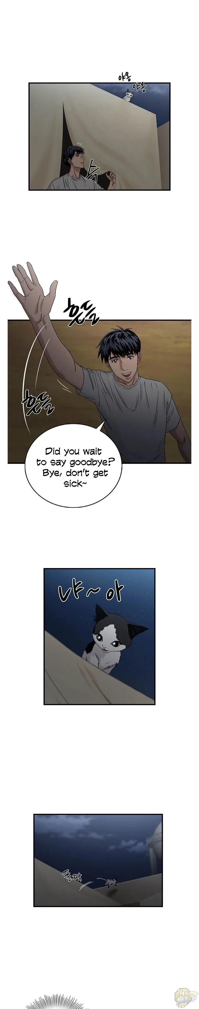 A True Doctor Chapter 50 page 3