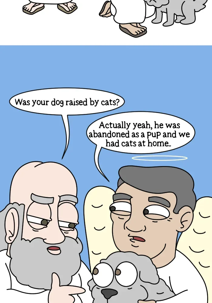 Adventures of God Chapter 244 page 8