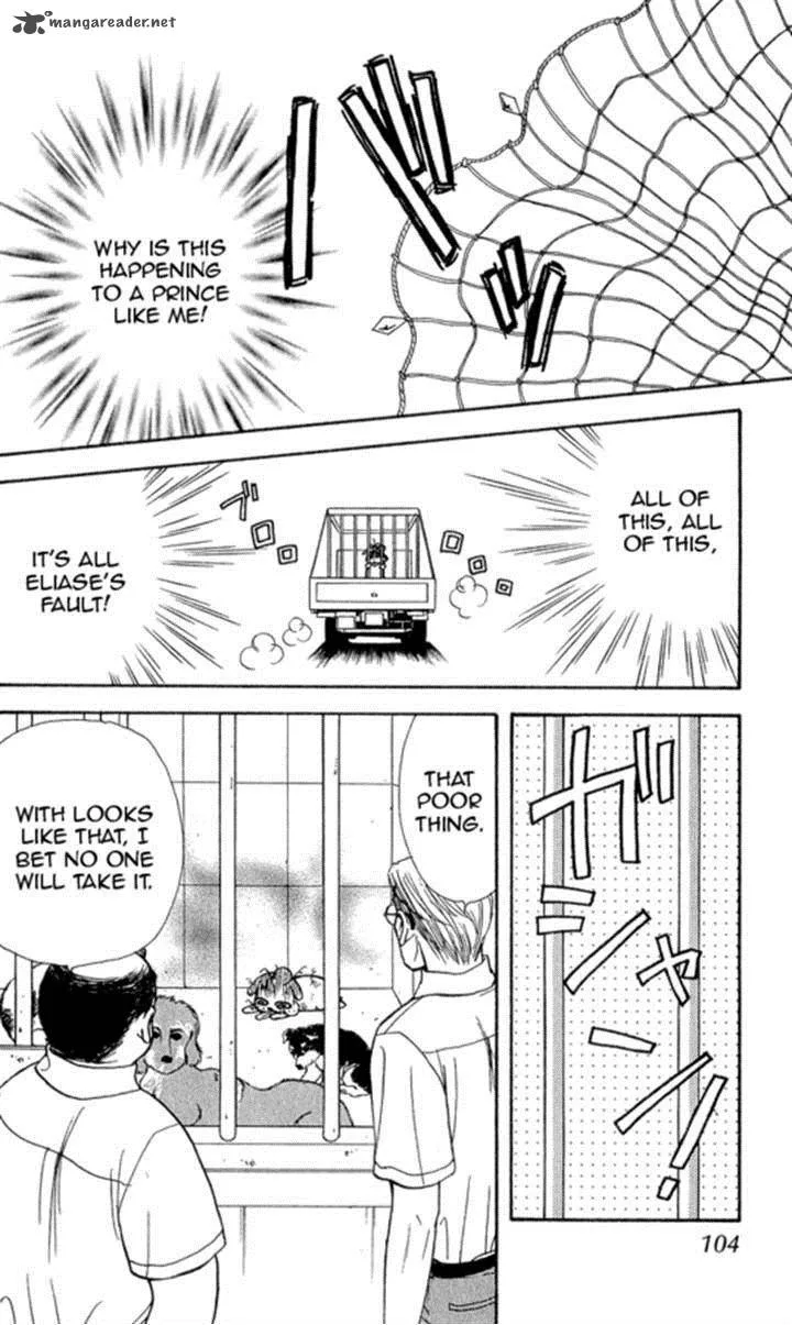 Ahiru no Oujisama Chapter 17 page 8
