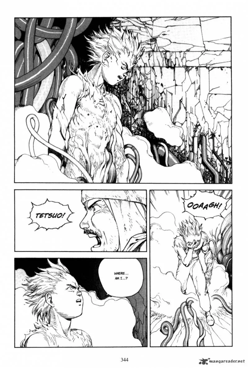 Akira Chapter 5 page 341