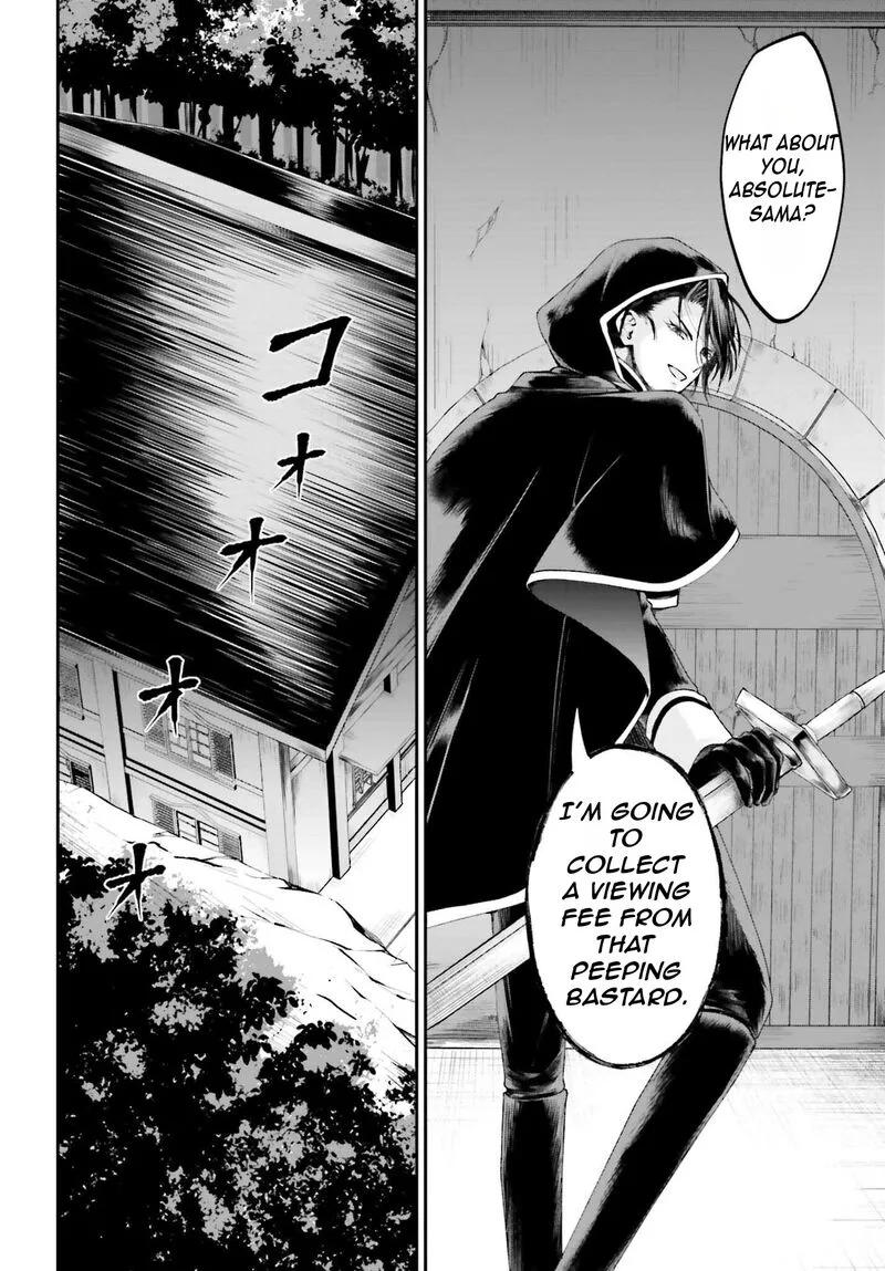 Akuyaku Kizoku to shite Hitsuyou na Sore Chapter 17 page 13
