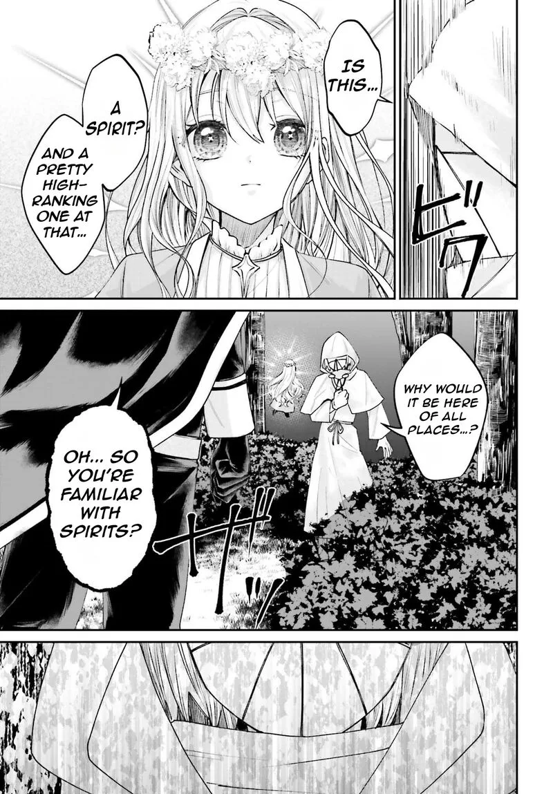 Akuyaku Kizoku to shite Hitsuyou na Sore Chapter 17 page 16