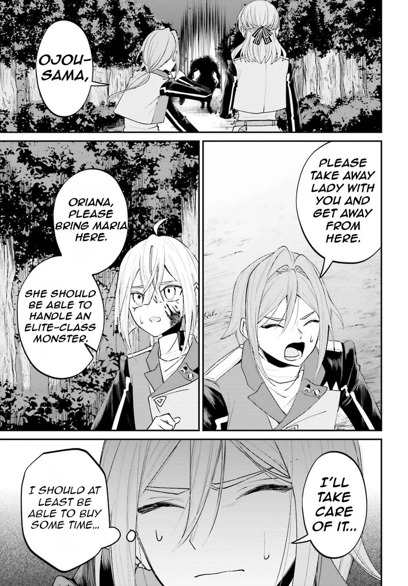 Akuyaku Kizoku to shite Hitsuyou na Sore Chapter 19 page 28