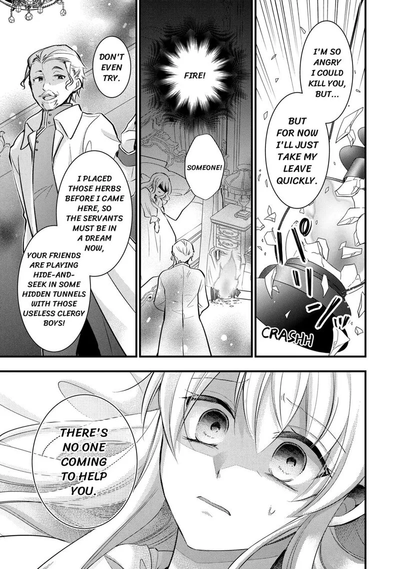 Akuyaku Reijou wa Heroine wo Ijimete Iru Baai de wa nai Chapter 10 page 25