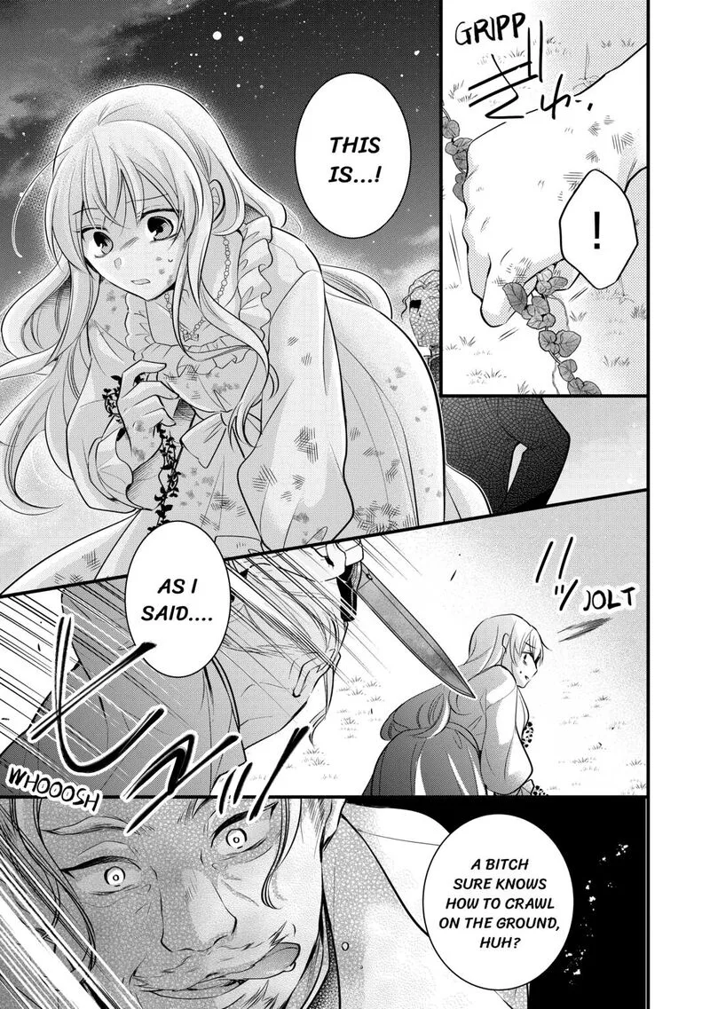 Akuyaku Reijou wa Heroine wo Ijimete Iru Baai de wa nai Chapter 11 page 13