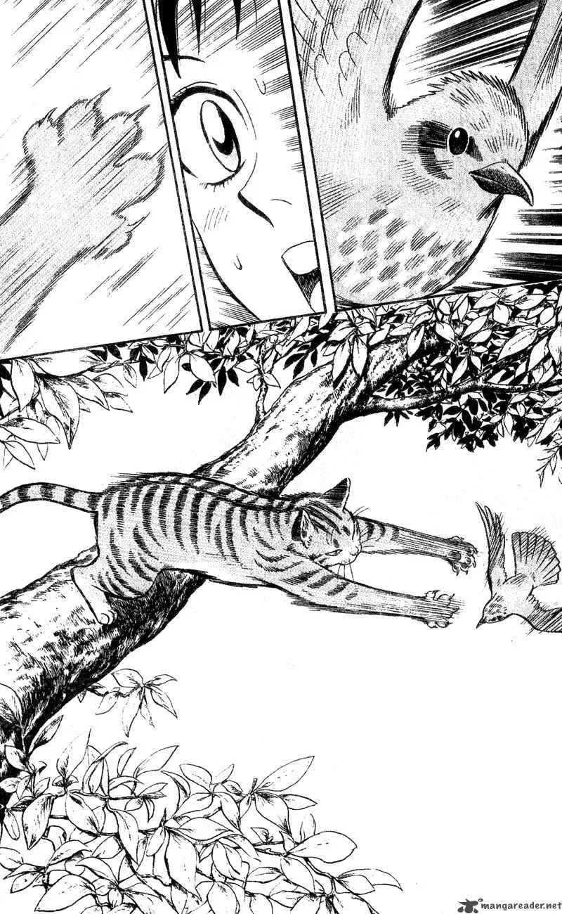 Animal Sense Chapter 1 page 16
