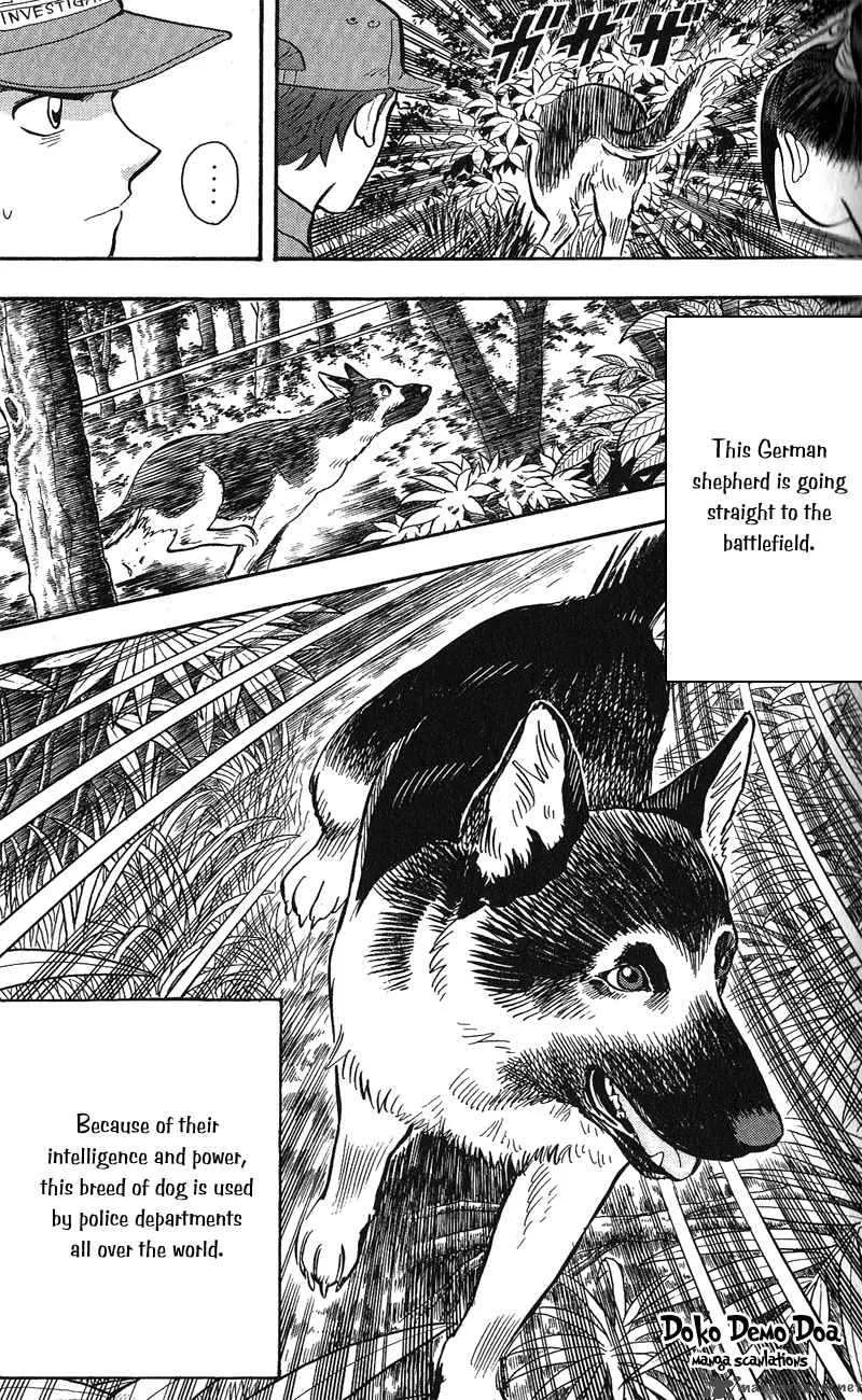 Animal Sense Chapter 12 page 20