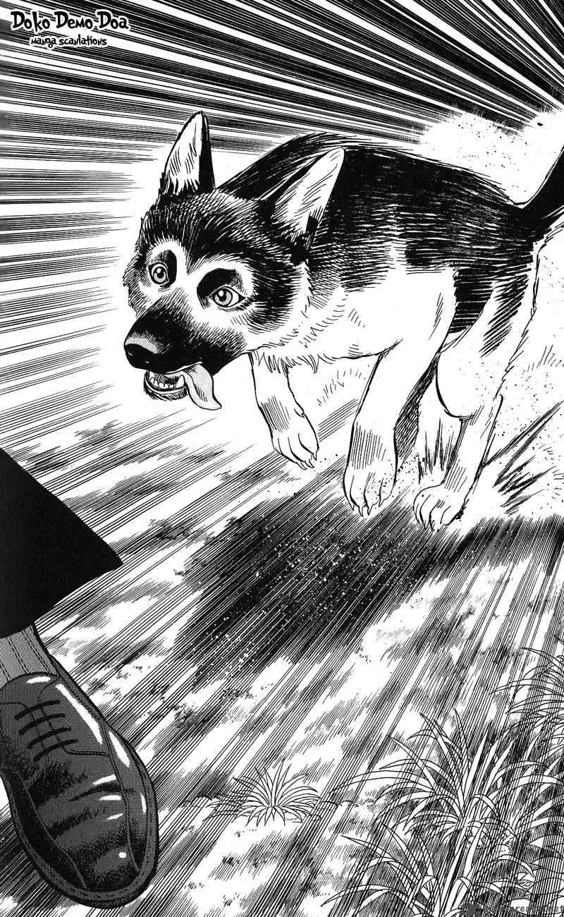 Animal Sense Chapter 12 page 29