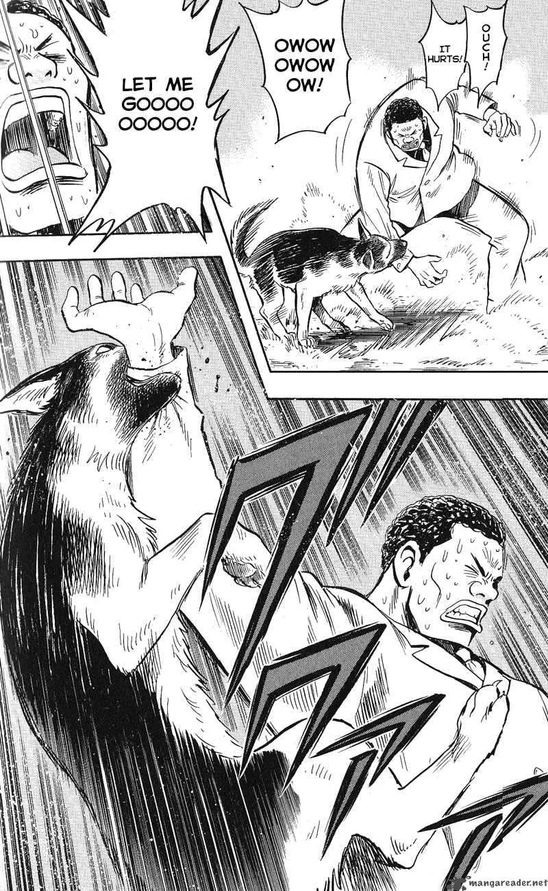 Animal Sense Chapter 12 page 36