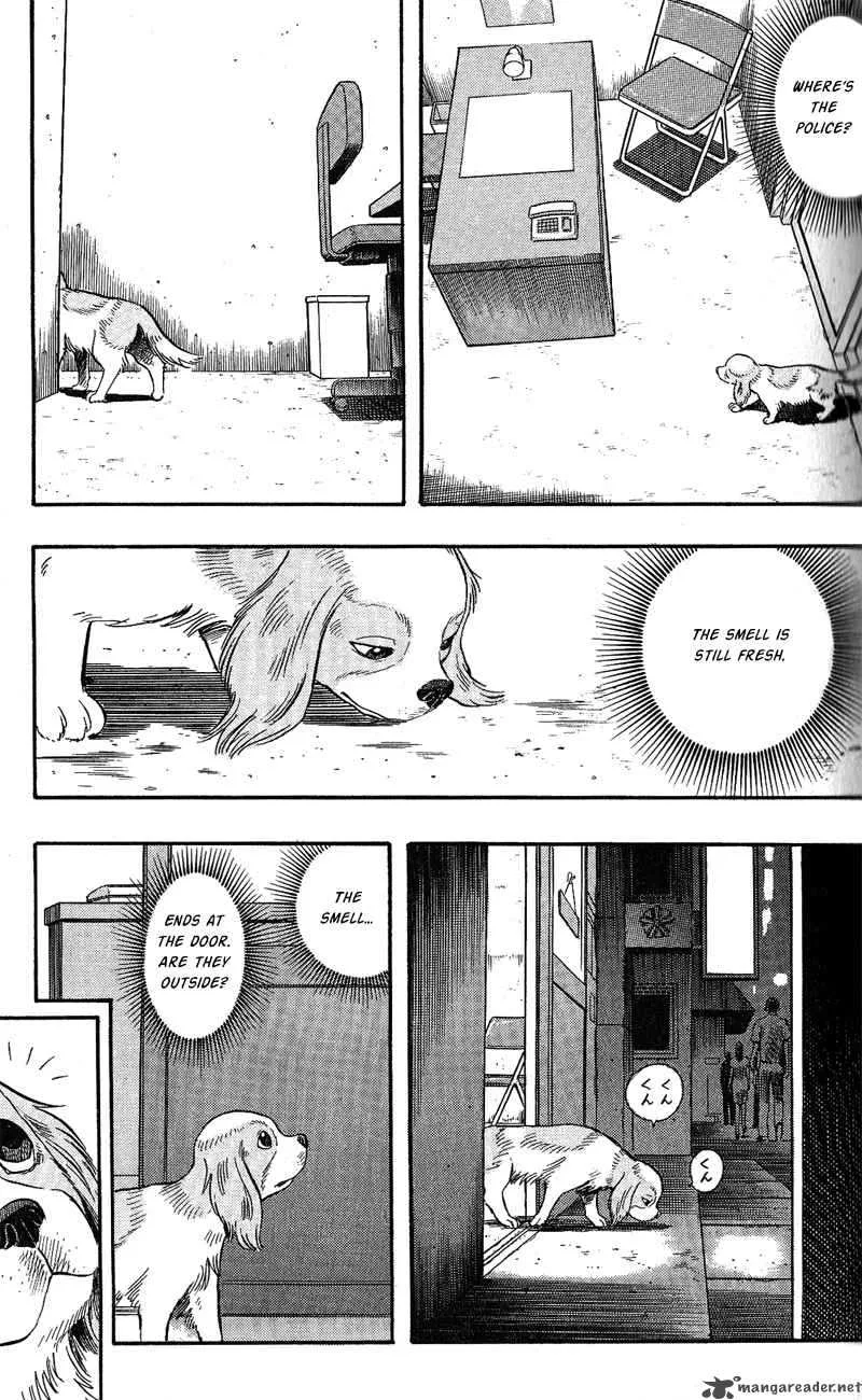 Animal Sense Chapter 7 page 8