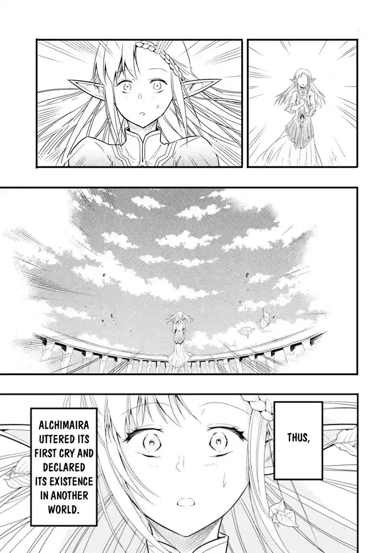 Another World Nation Archimaira Chapter 12.3 page 13