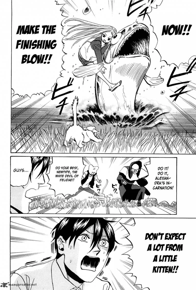Arakawa Under the Bridge Chapter 230 page 4