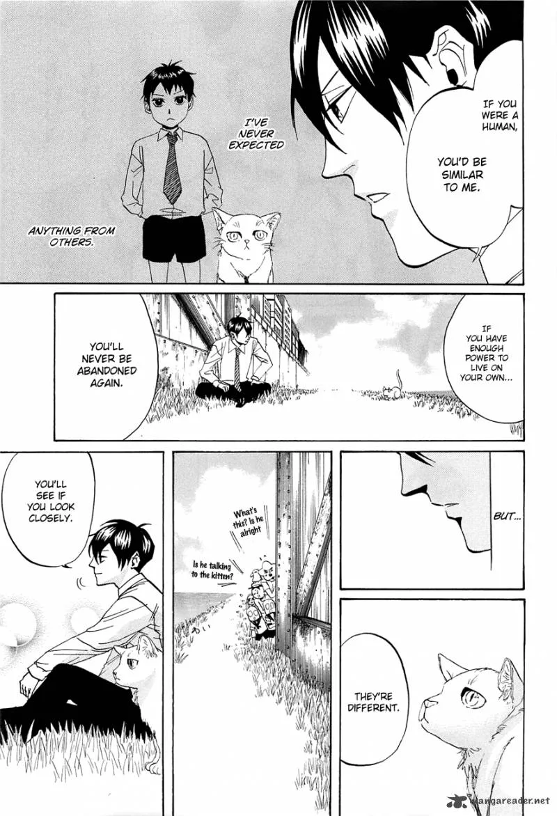 Arakawa Under the Bridge Chapter 231 page 3