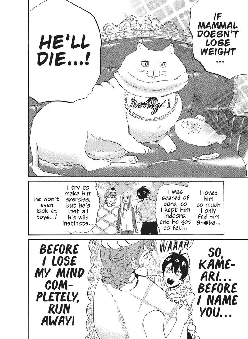 Arakawa Under the Bridge Chapter 374 page 6
