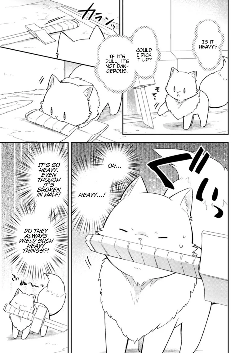 At the Northern Fort Chapter 18 page 5