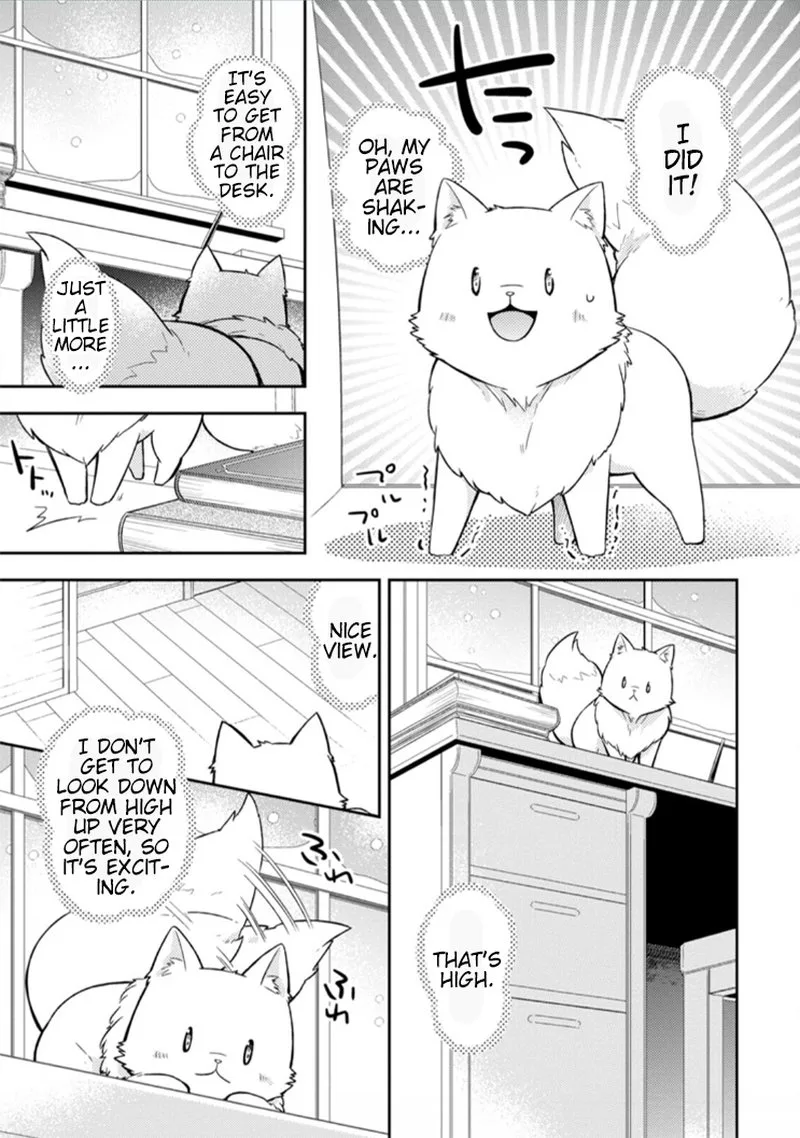 At the Northern Fort Chapter 6 page 13