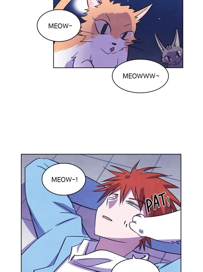 Athena Complex Chapter 78 page 66