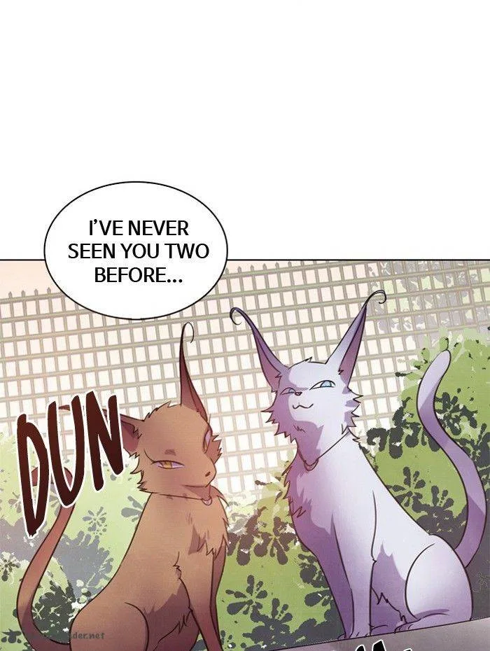 Athena Complex Chapter 82 page 81