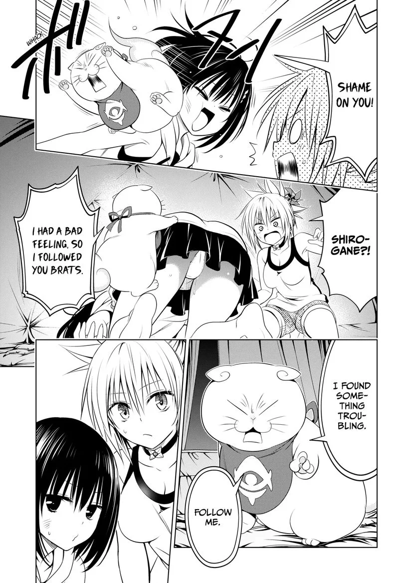 Ayakashi Triangle Chapter 97 page 14