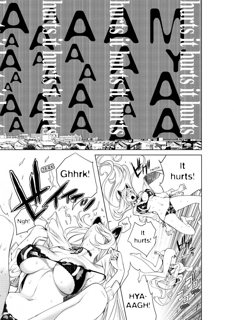 Bakemonogatari Chapter 142 page 3
