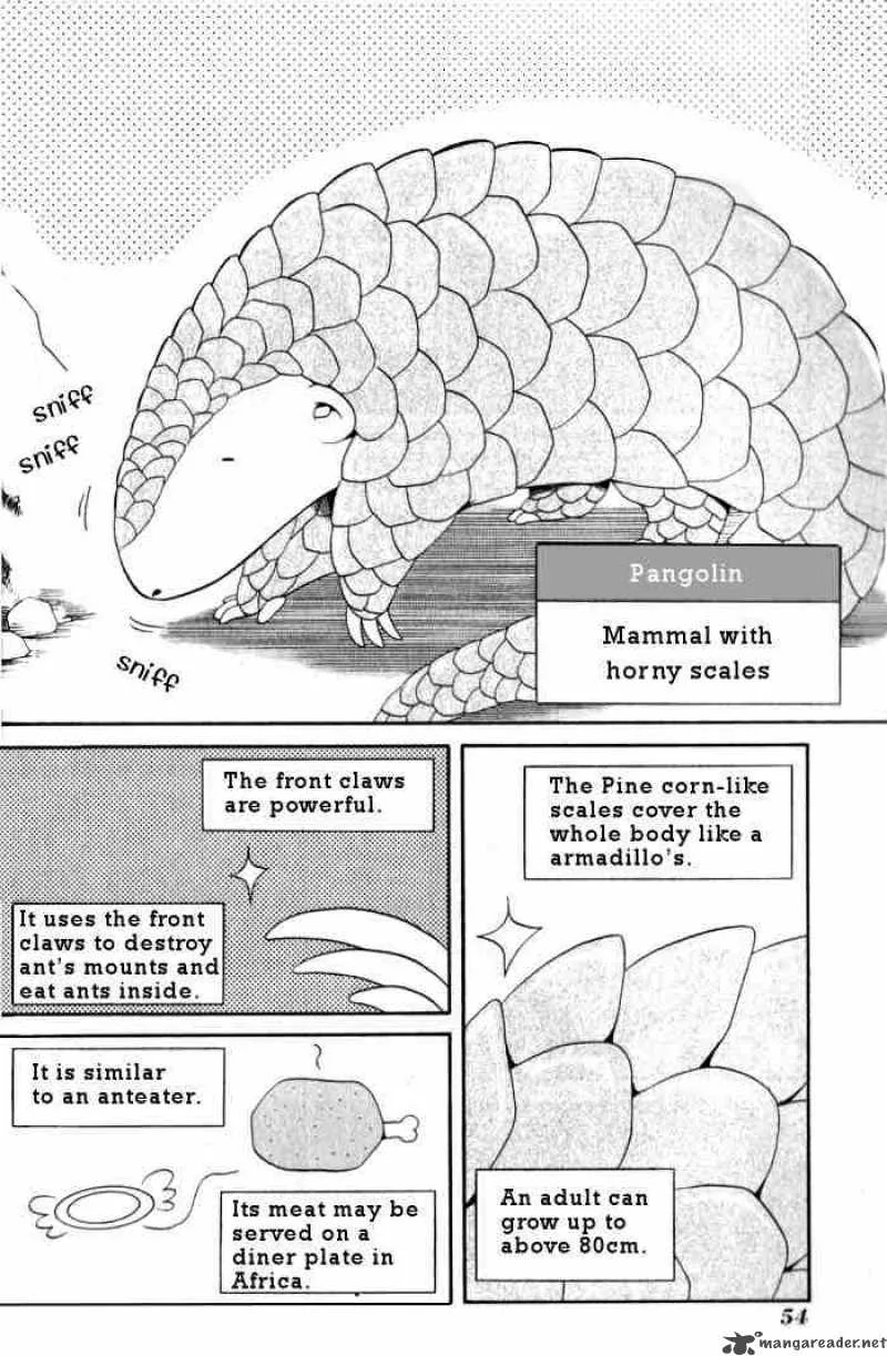 Bamboo Blade Chapter 13 page 8
