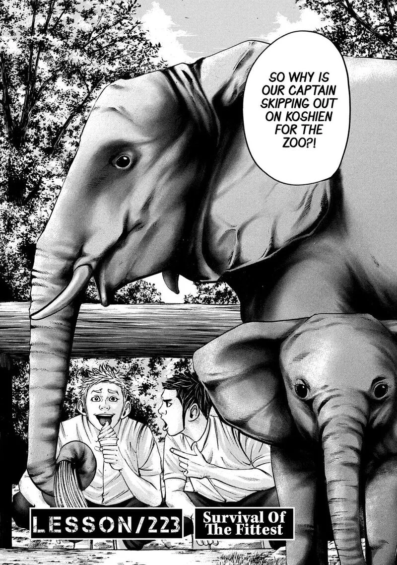 Battle Studies Chapter 223 page 2