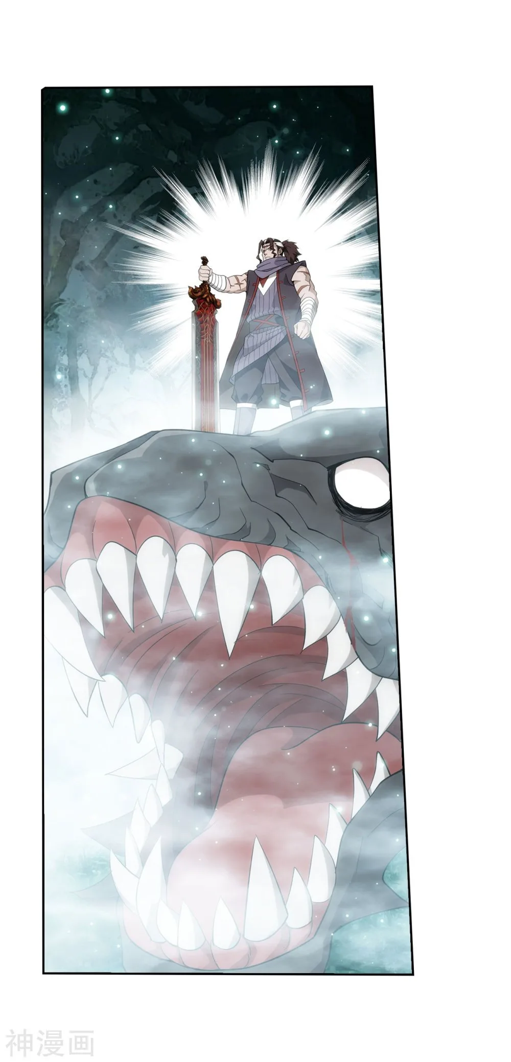 Battle Through The Heavens Chapter 294 page 13
