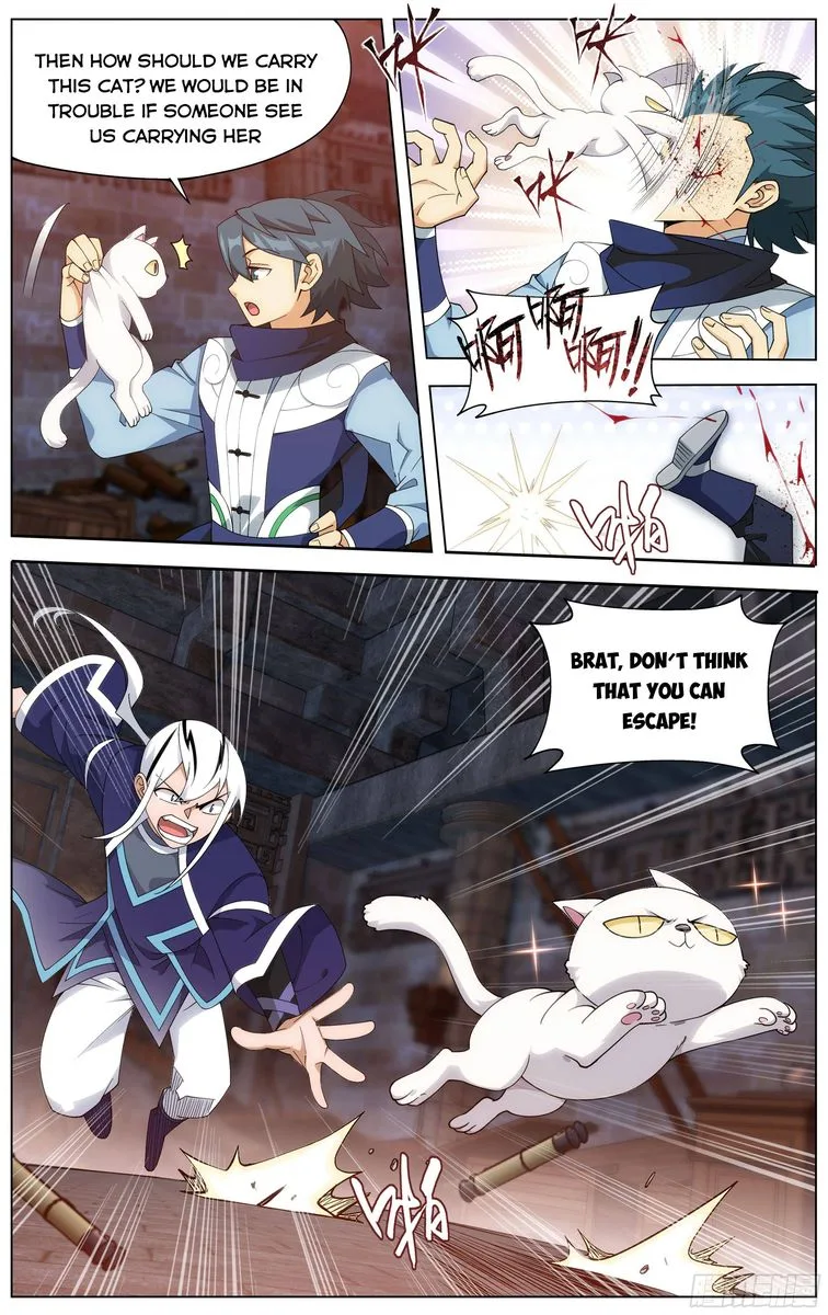 Battle Through The Heavens Chapter 314 page 13