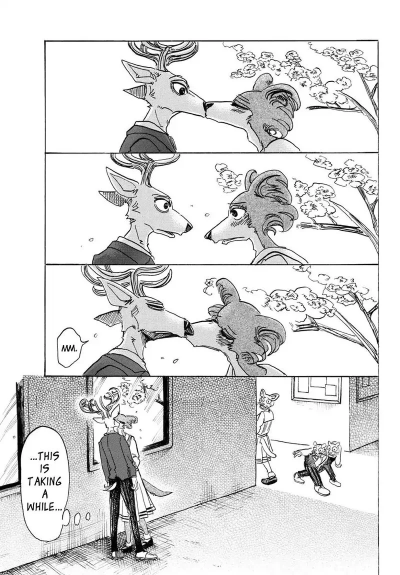 Beastars Chapter 105 page 14