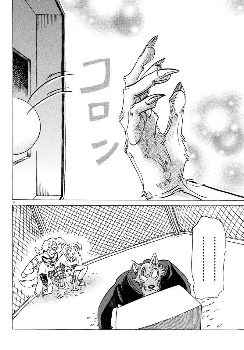Beastars Chapter 123 page 15