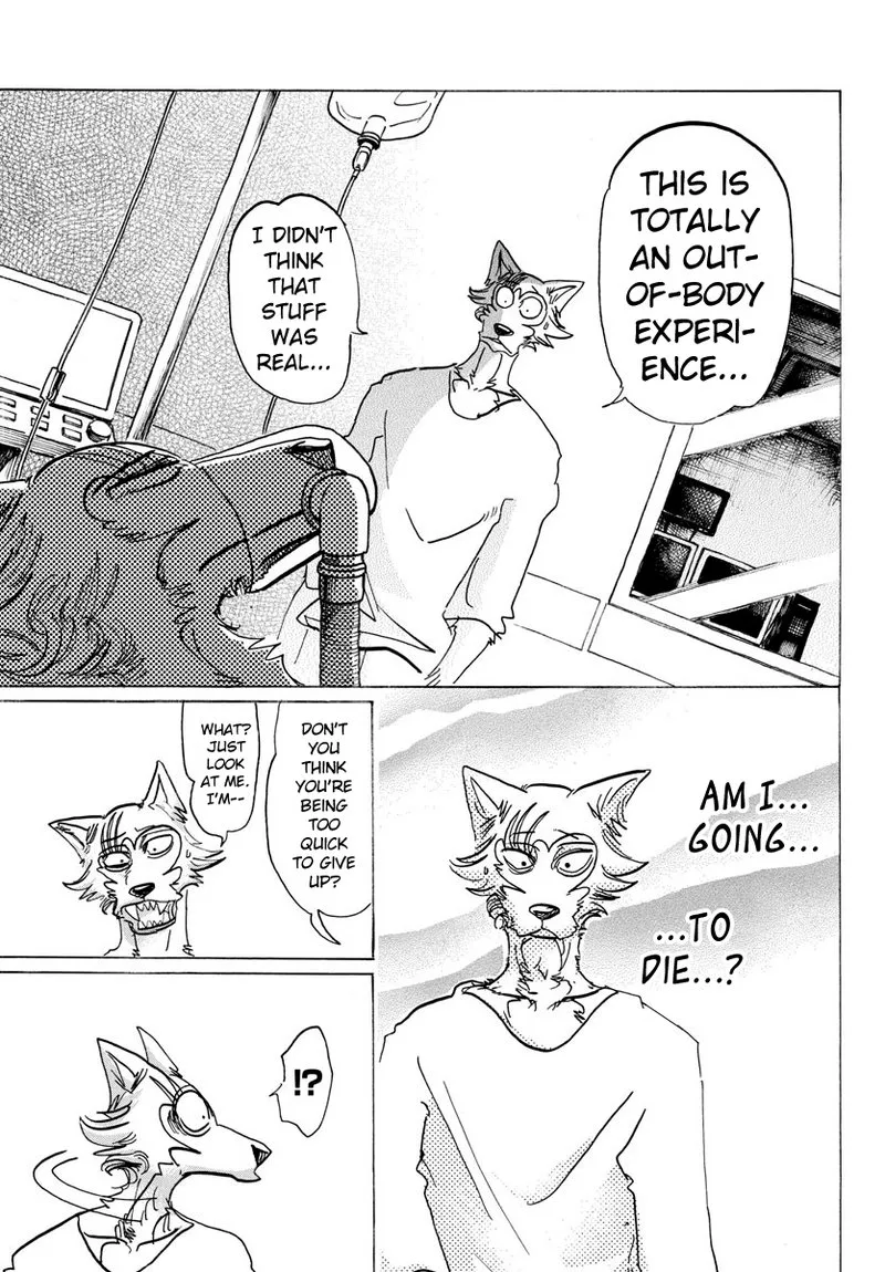 Beastars Chapter 132 page 17