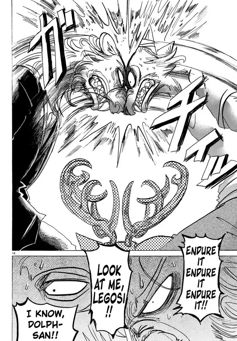 Beastars Chapter 147 page 15