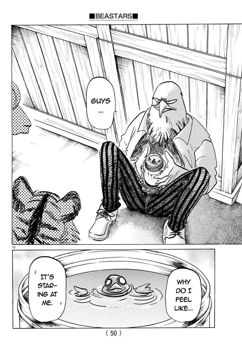 Beastars Chapter 155 page 12