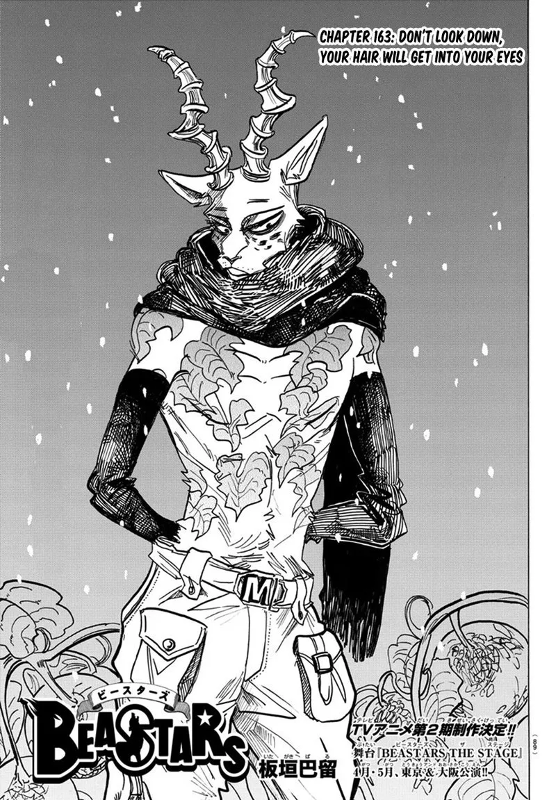Beastars Chapter 163 page 1