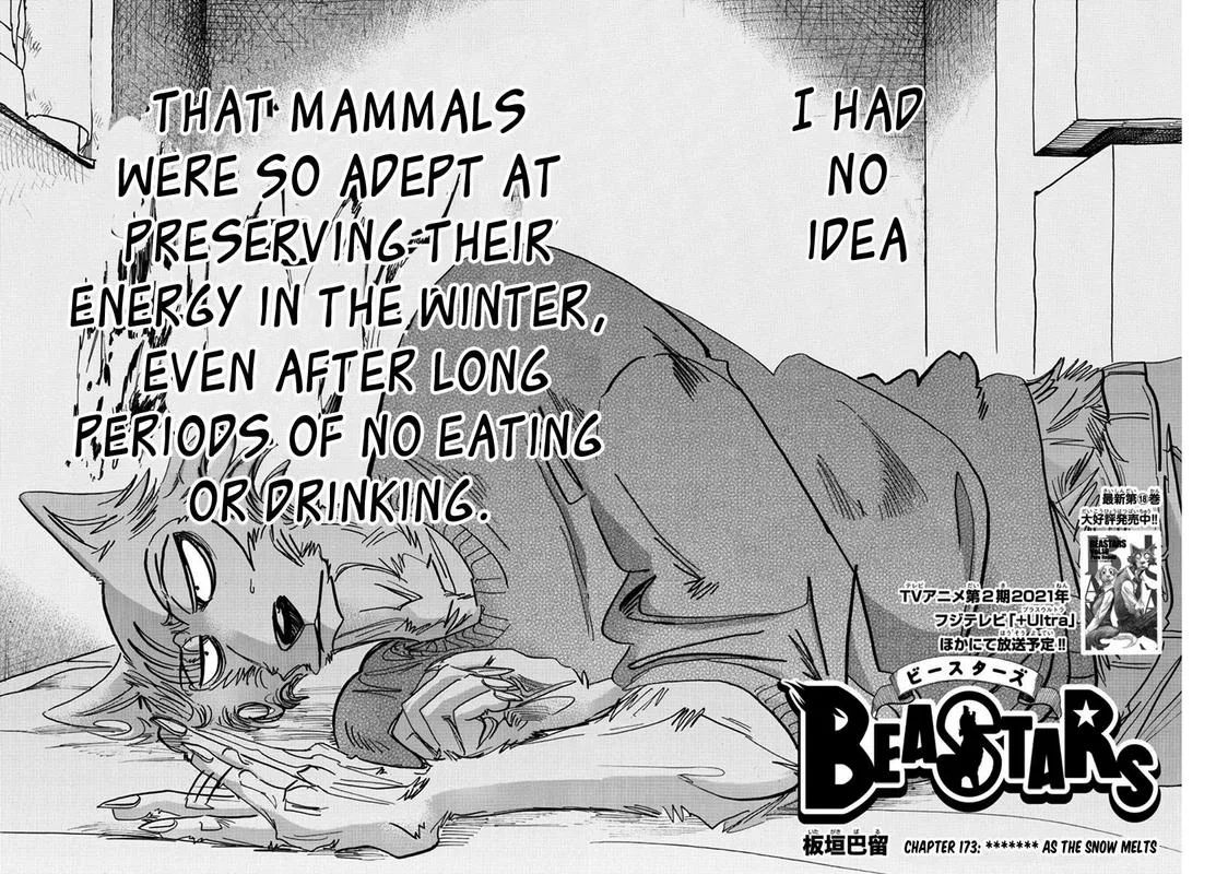 Beastars Chapter 173 page 2