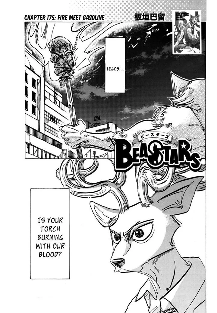 Beastars Chapter 175 page 1