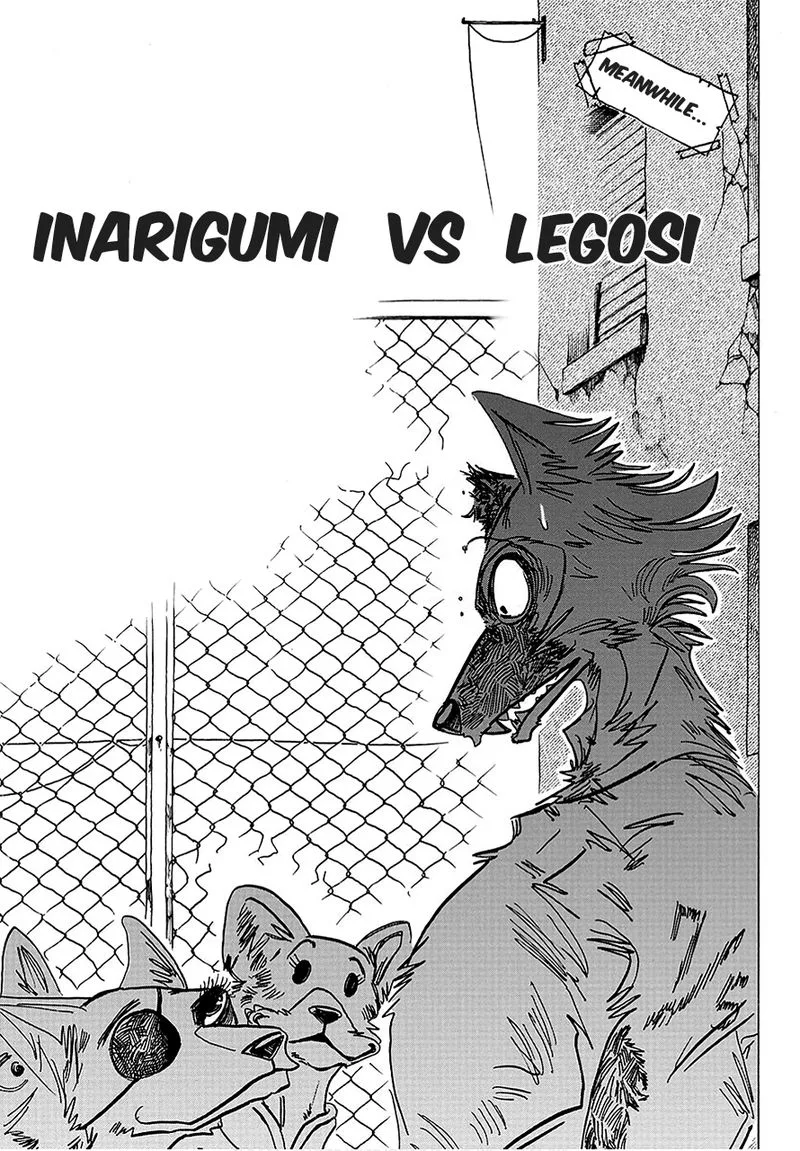 Beastars Chapter 179 page 7