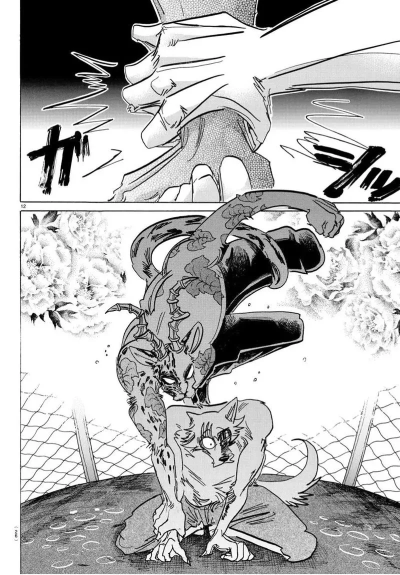 Beastars Chapter 184 page 13