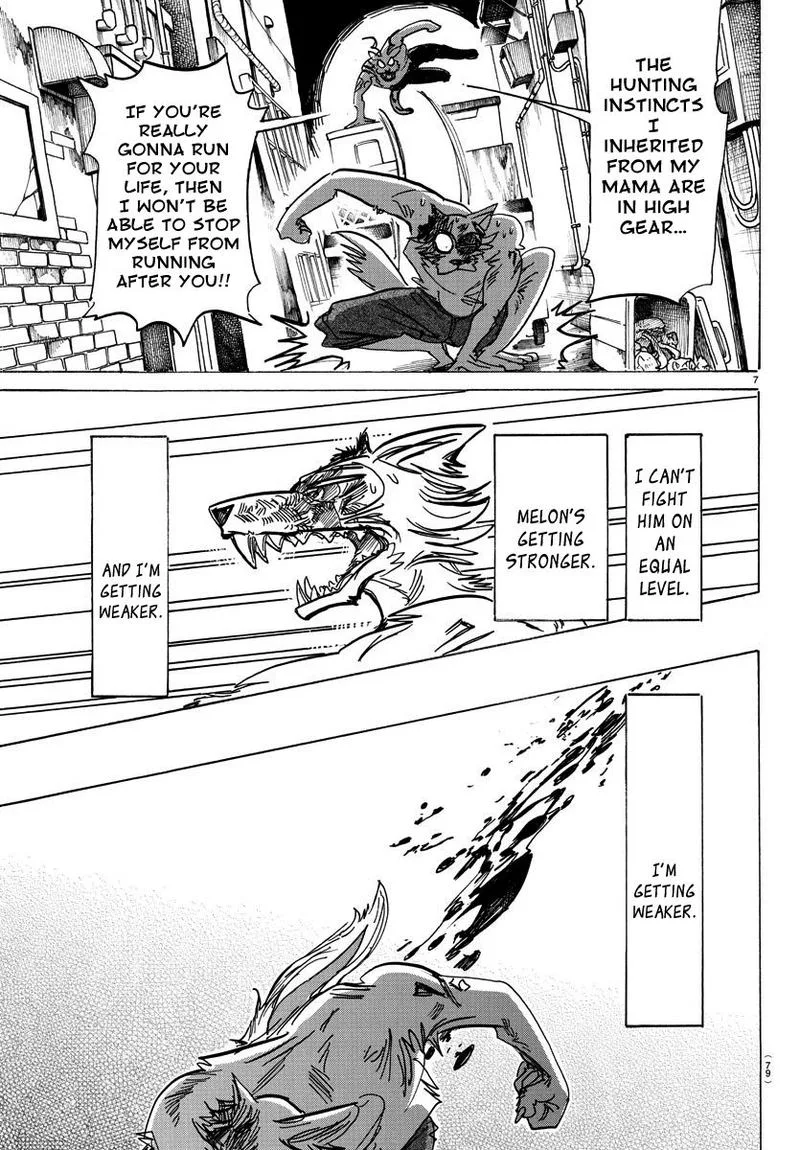 Beastars Chapter 187 page 7