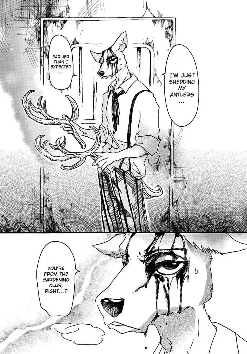 Beastars Chapter 26 page 8