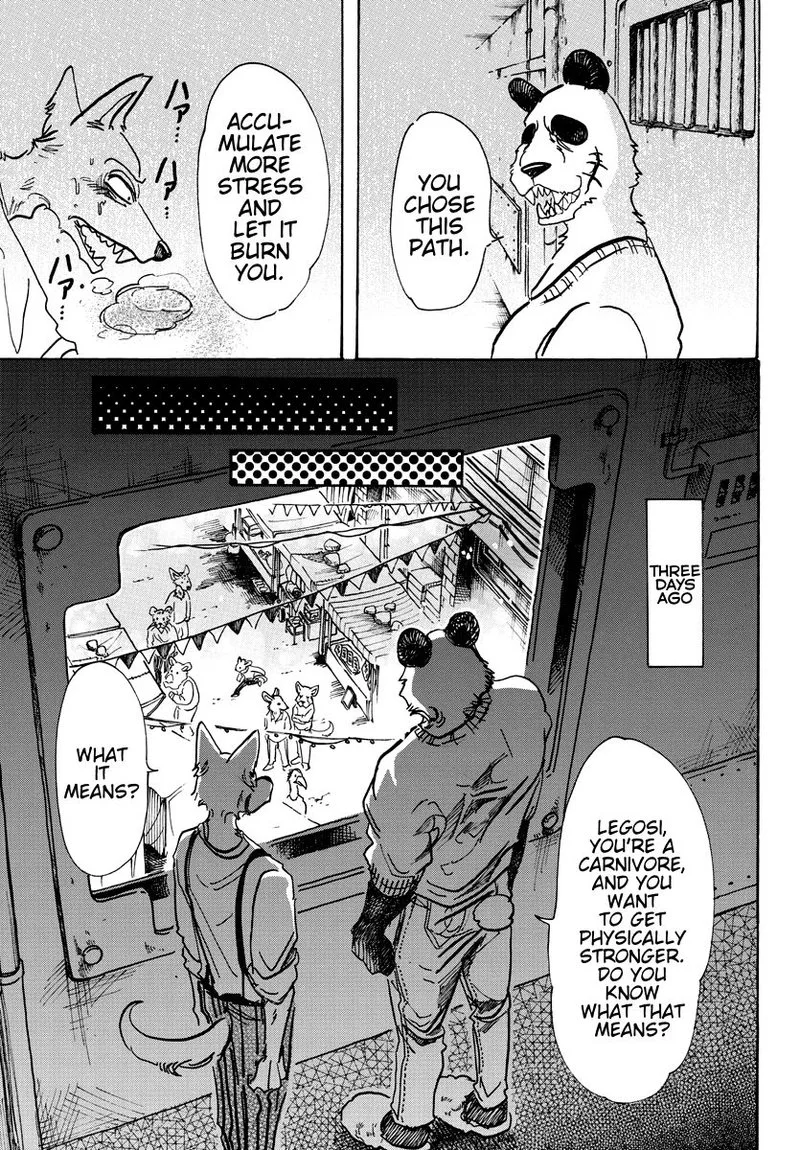 Beastars Chapter 63 page 5