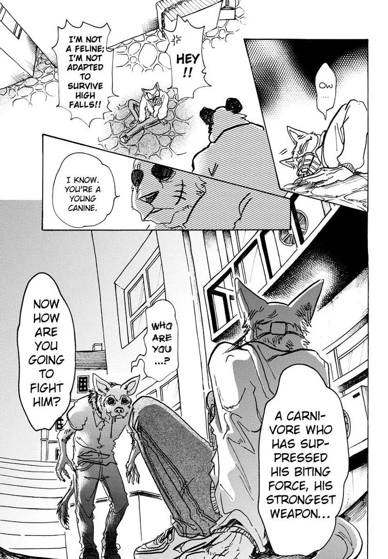 Beastars Chapter 68 page 13