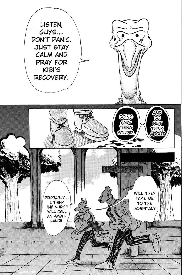Beastars Chapter 71 page 14