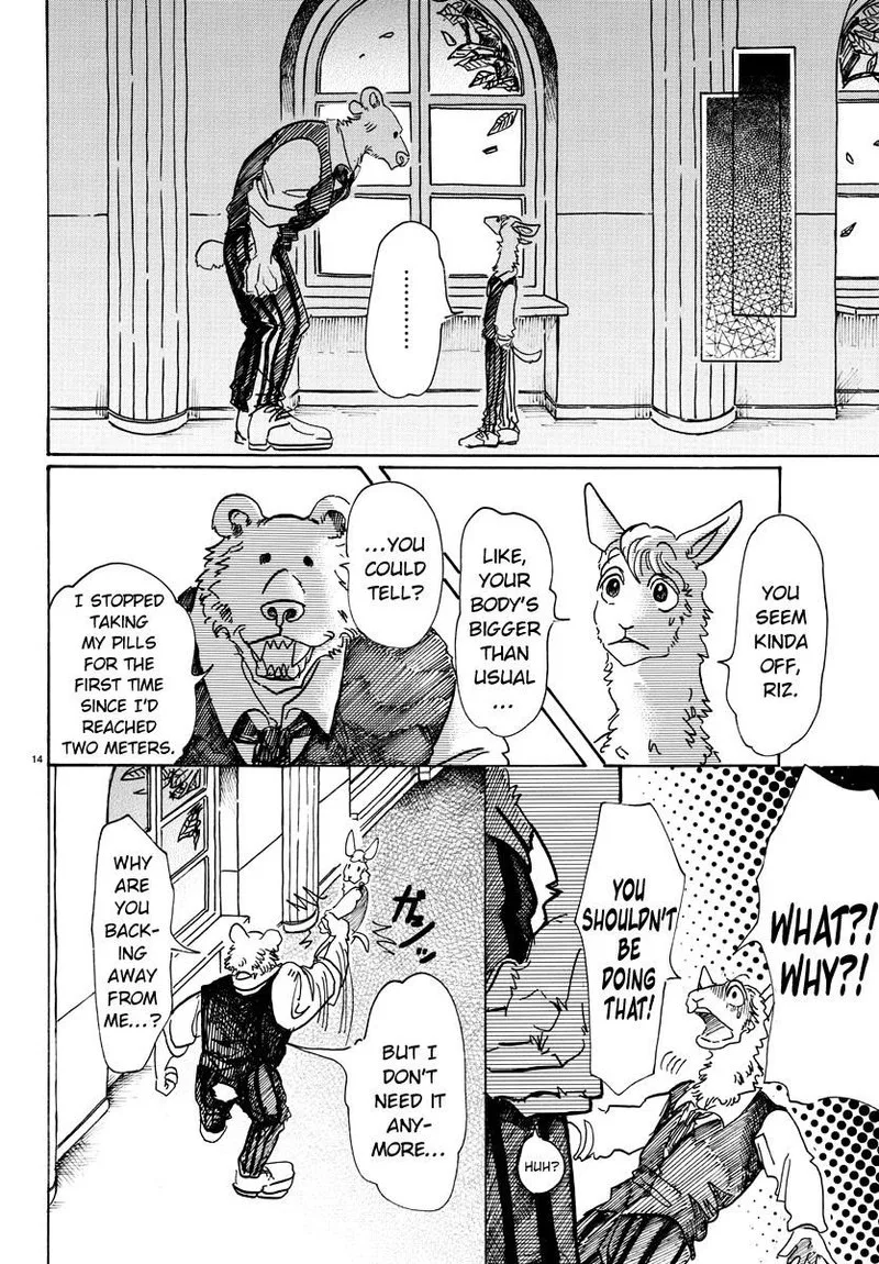 Beastars Chapter 77 page 14