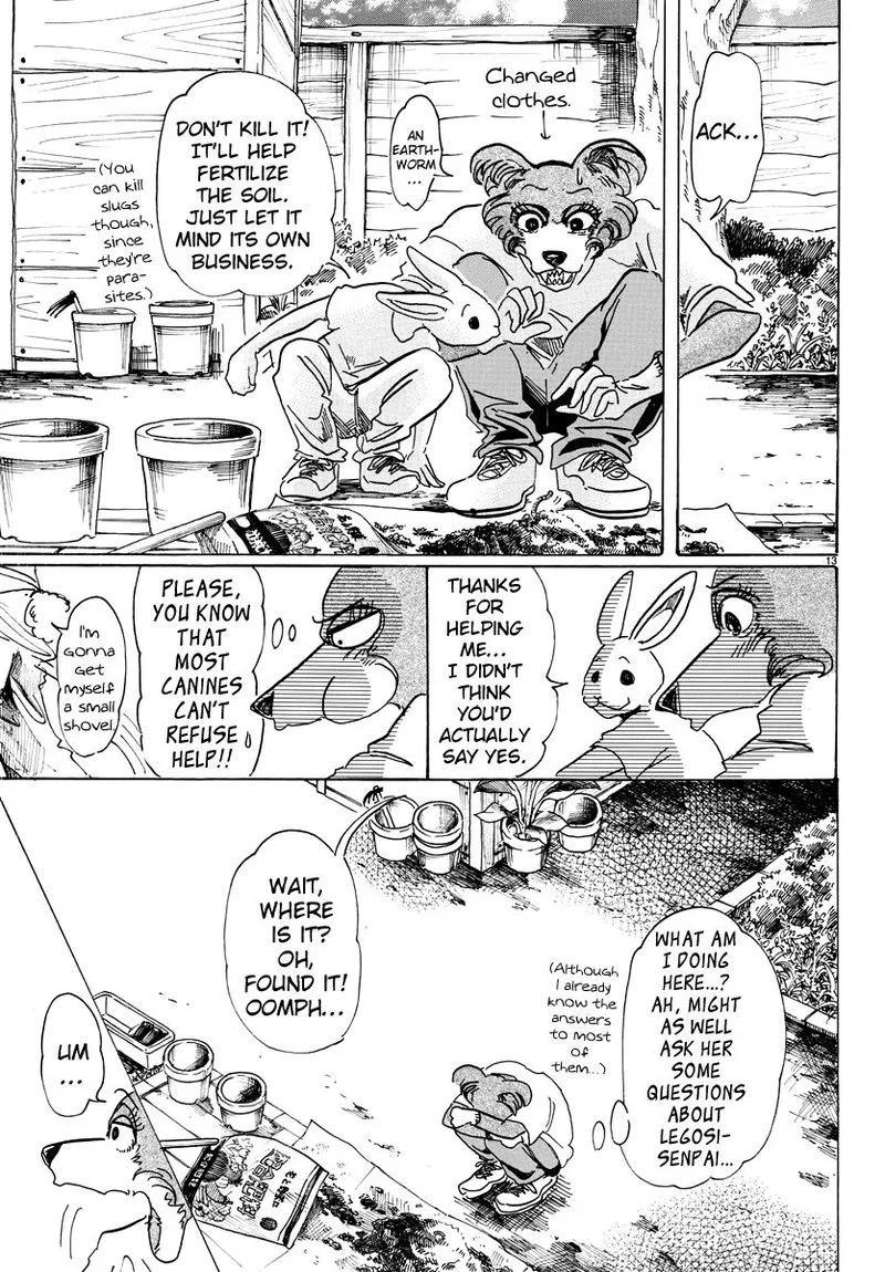 Beastars Chapter 79 page 13