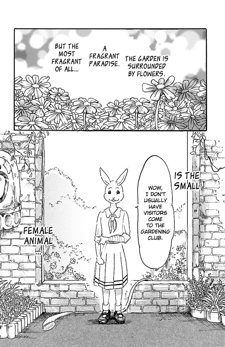 Beastars Chapter 8 page 4